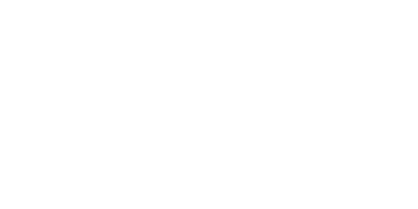 Capex Company BV | Martin van der Horst