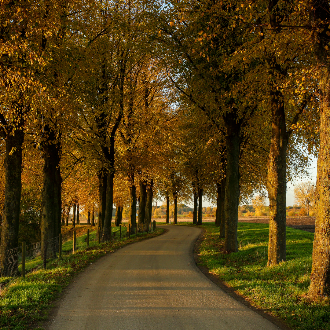 Meanderende Maas Ravenstein-Lith